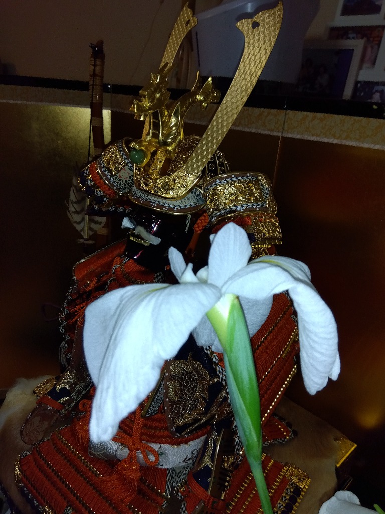 端午の節句